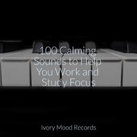 100 Calming Sounds to Help You Work and Study Focus