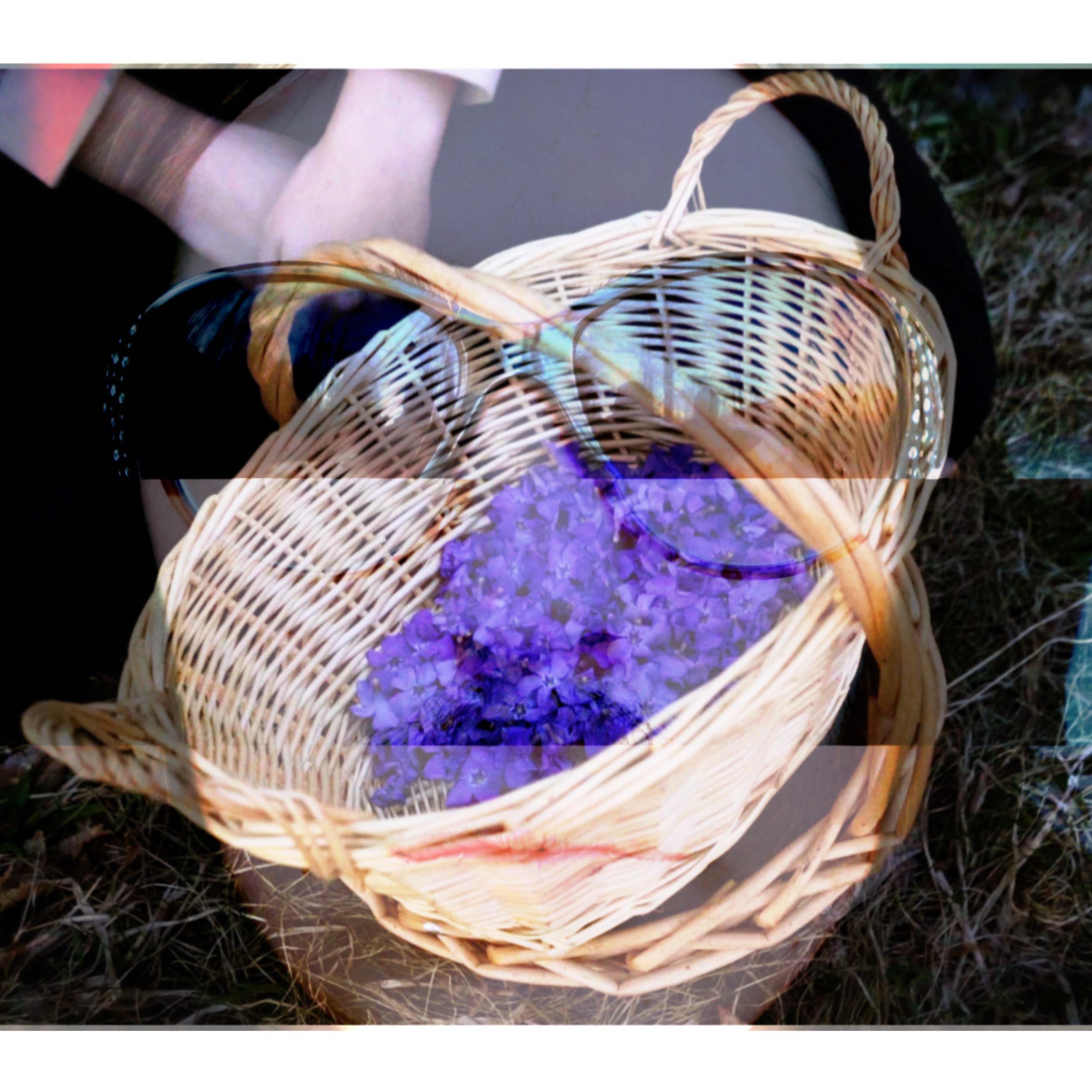 BASKET (feat. Marlon DuBois, Milkreset & Henry Mosto)