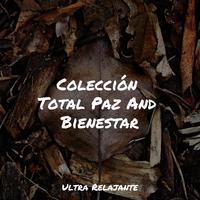 Colección Total Paz And Bienestar