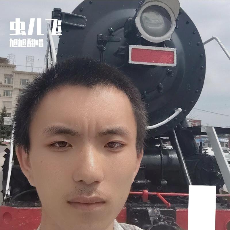 虫儿飞（伴奏） - 旭旭翻唱封面