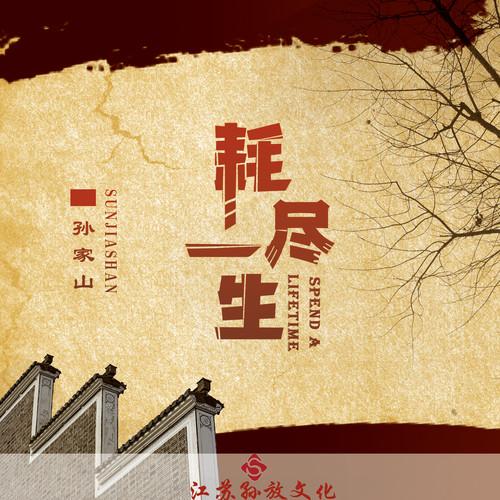 耗尽一生封面