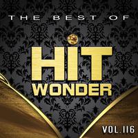 Hit Wonder: The Best of, Vol. 116