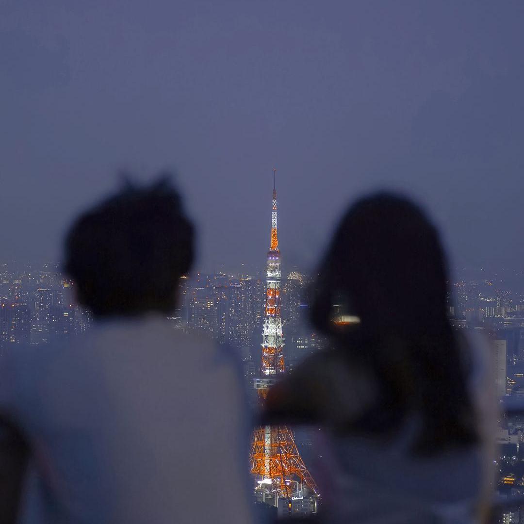 那年初夏封面