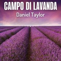 Campo Di Lavanda