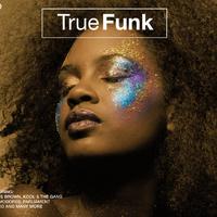 True Funk [3 CD Set]