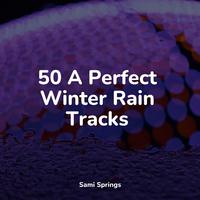 50 A Perfect Winter Rain Tracks