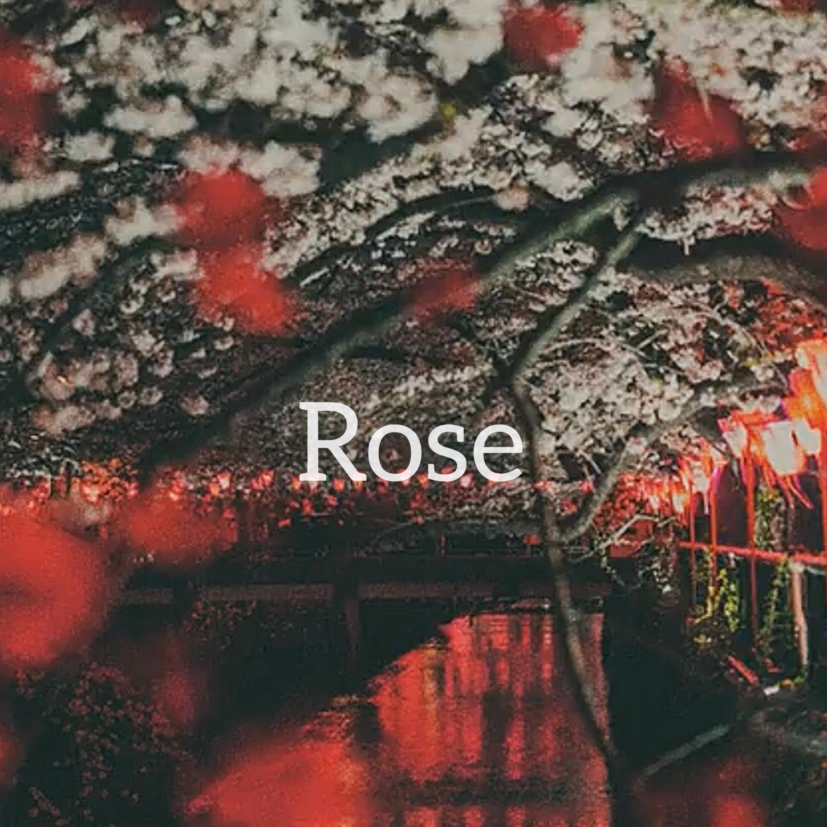 ''Rose''R&B/Hiphop/Type beat 2017(Prod.N-SOUL)