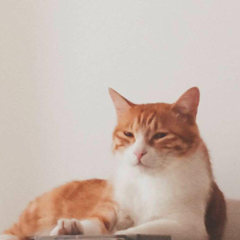 【ACE男团5P】你就不要想起我