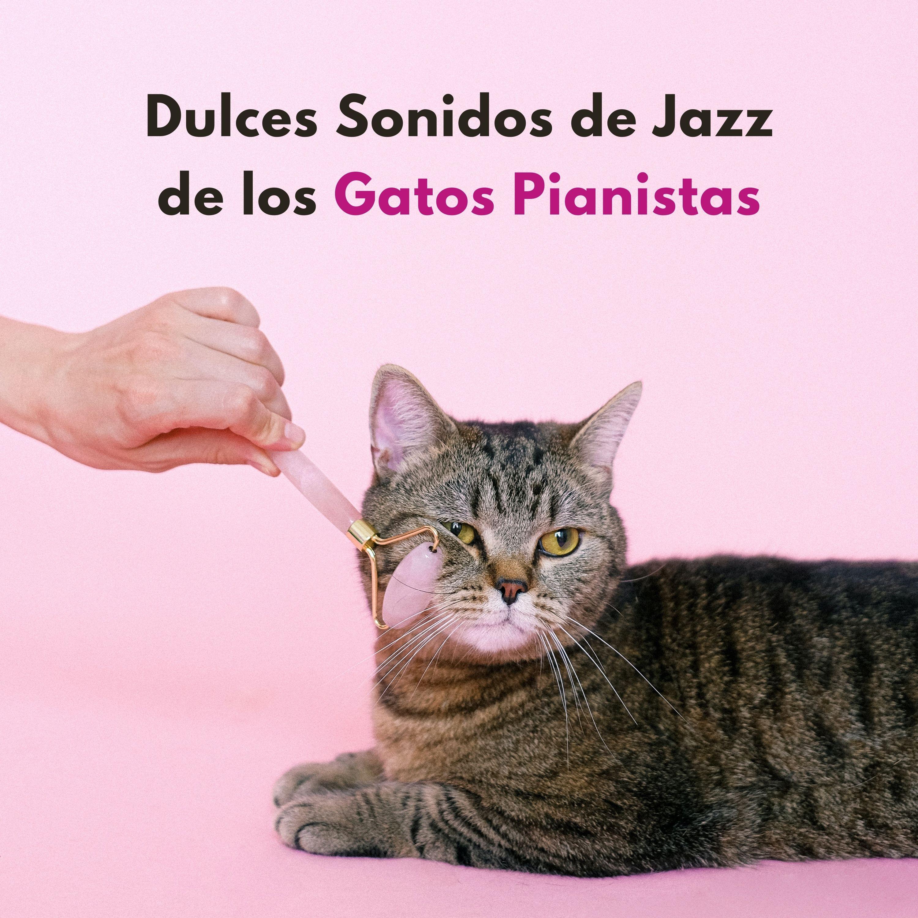 Cadenza Del Gatito_Gato piano_Dulces Sonidos De Jazz De Los Gatos Pianistas | 在线播放_Cadenza Del Gatito歌词_Cadenza Del Gatito下载 | 网易云音乐