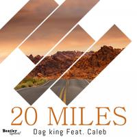 20 Miles