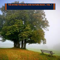 The Divine Fire Bliss and Nature Music, Vol. 1