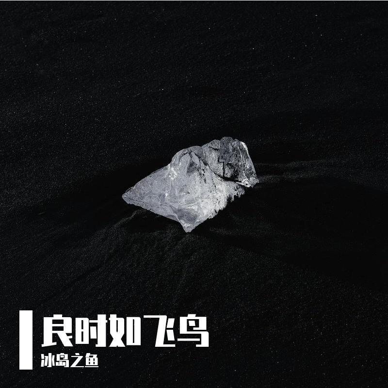 空欢喜 伴奏封面
