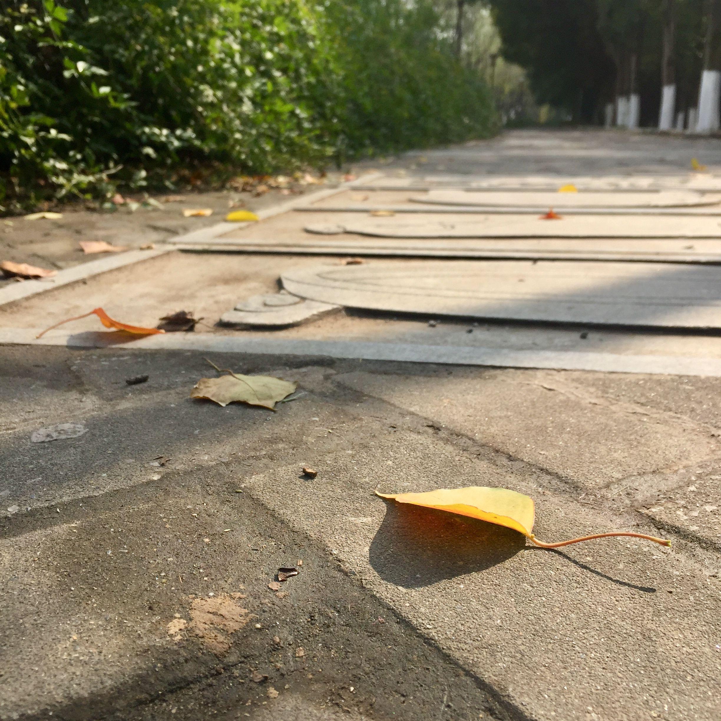 荏苒冬春去封面
