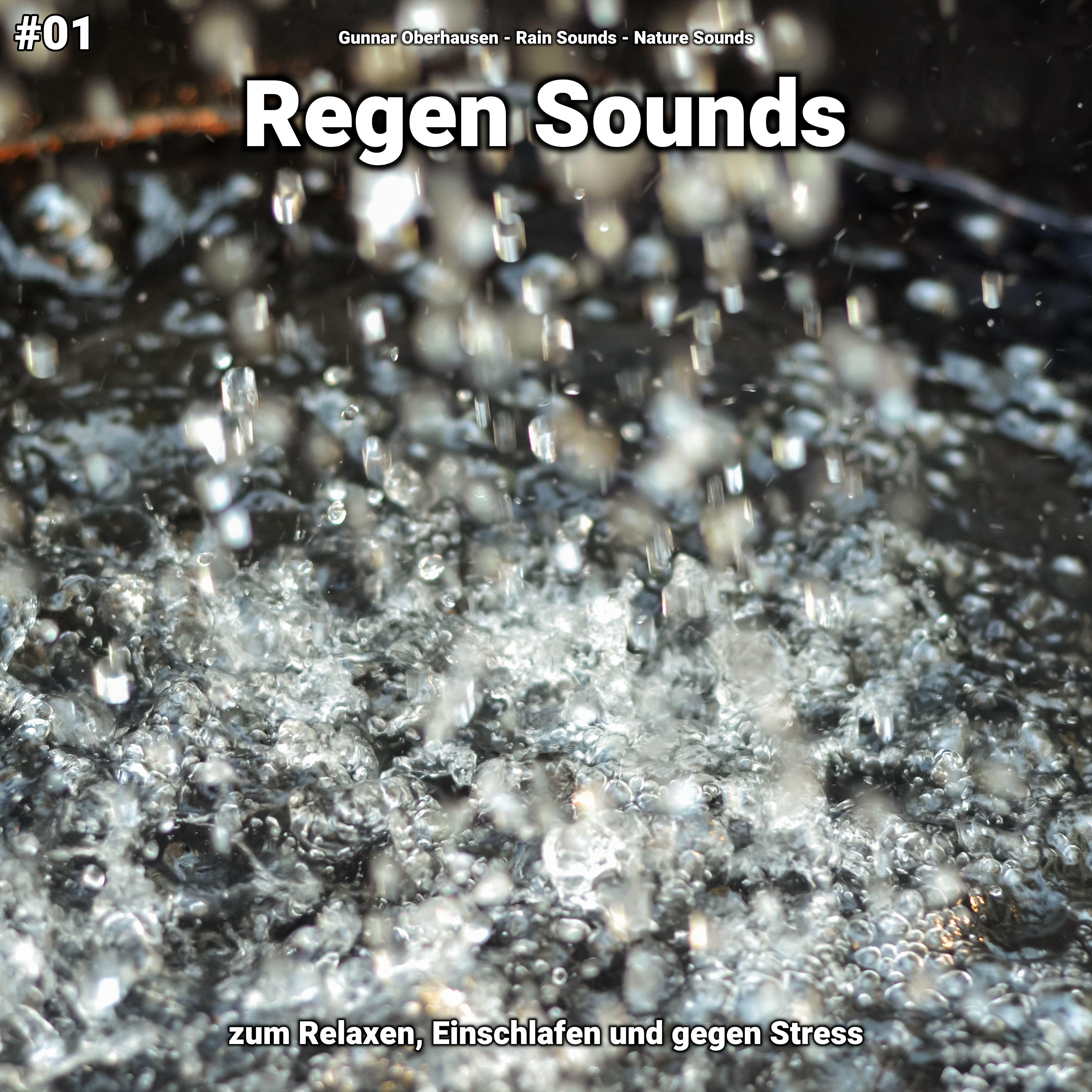 Regen Sounds, pt. 69