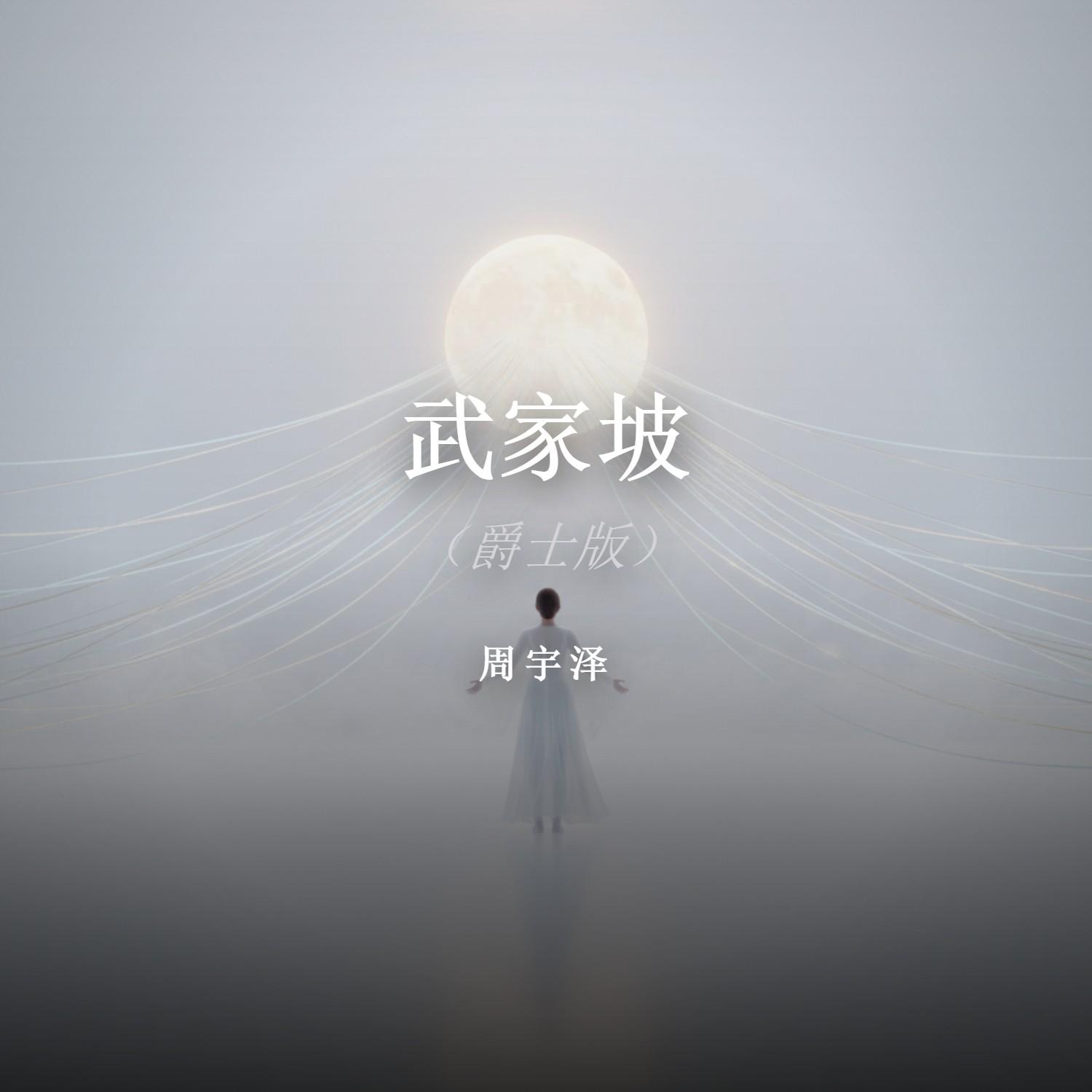 武家坡封面