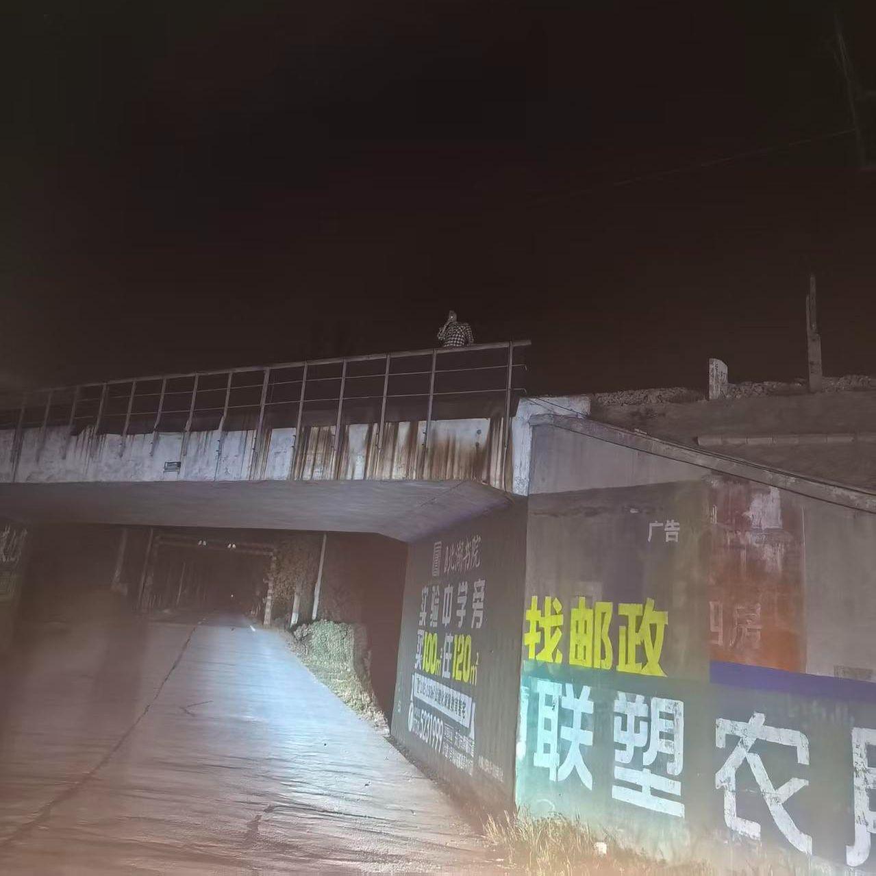 芙蓉王封面