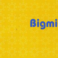 BIGMINI