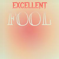 Excellent Fool