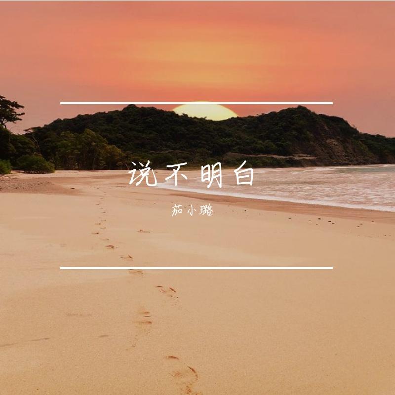 说不明白封面