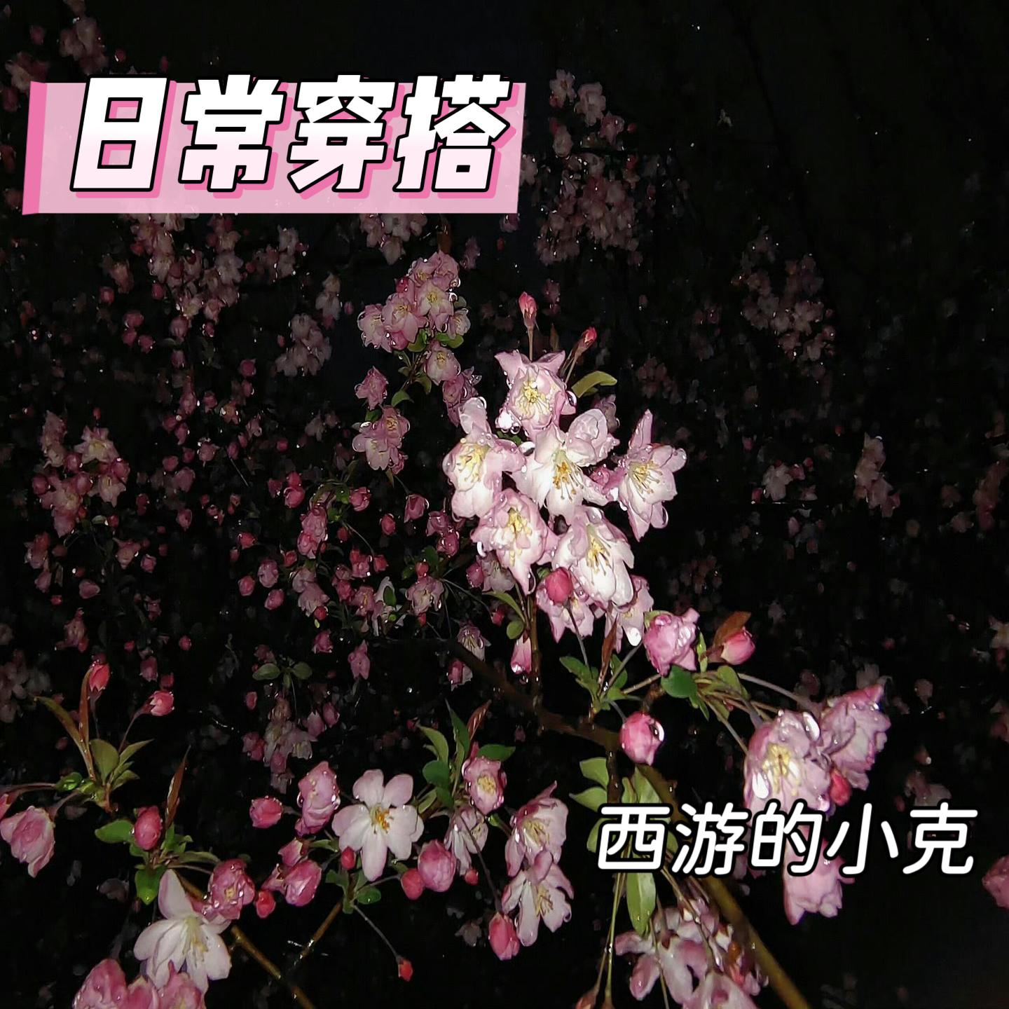 仗剑天涯 - 西游的小克封面