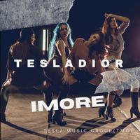 TESLADIOR (Radio Edit)