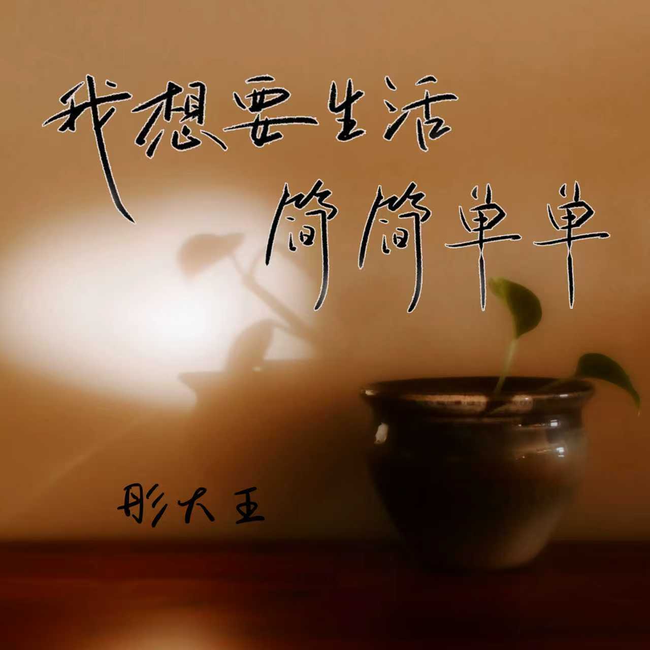 我想要生活简简单单(和声伴奏) - 彤大王封面