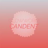 Glowworm Candent