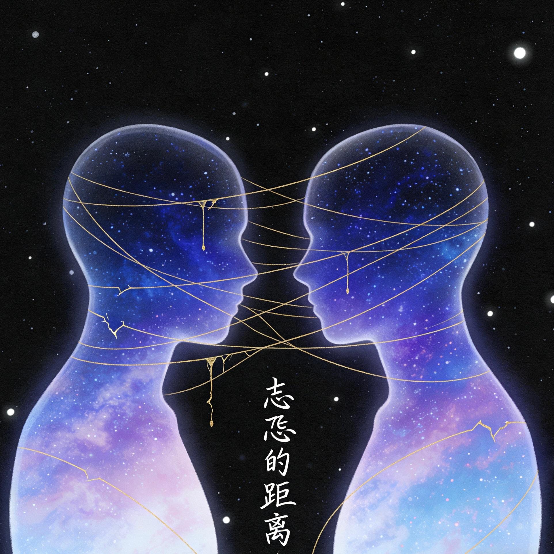 忐忑的距离封面