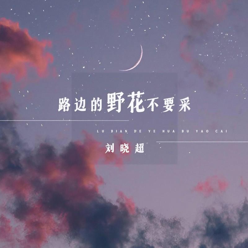 路边的野花不要采 (伴奏)封面