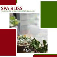 Spa Bliss - Peaceful And Ambient Music For Relaxation