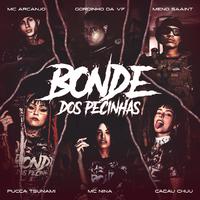 Bonde dos Pecinha 3.0