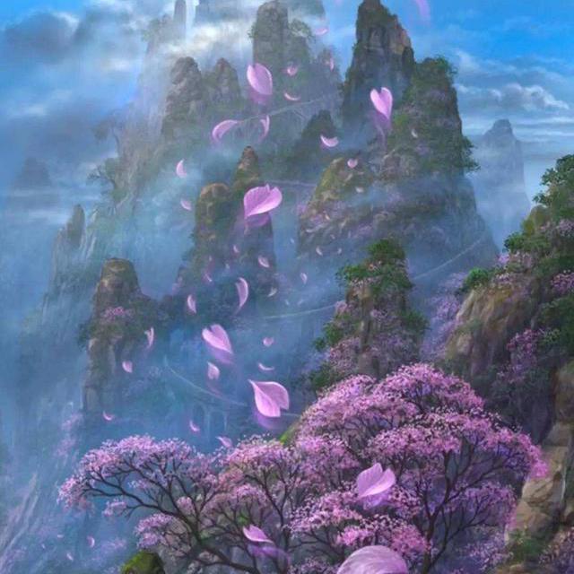 渡红尘封面