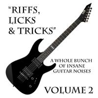 Riffs, Licks & Tricks Volume 2