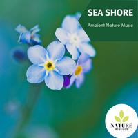 Sea Shore - Ambient Nature Music