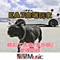 EA7举起双手封面