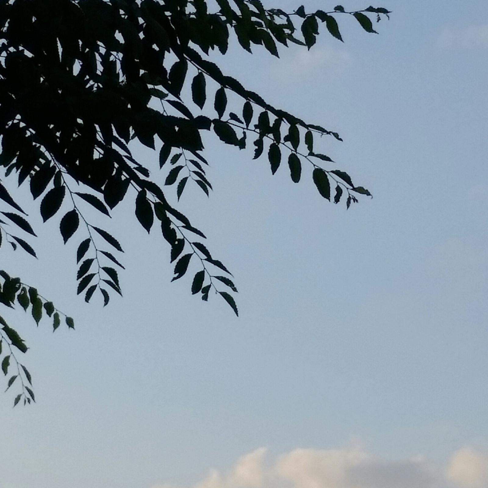 今の世を生きる23