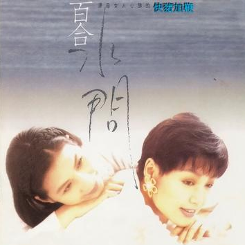 绣花封面