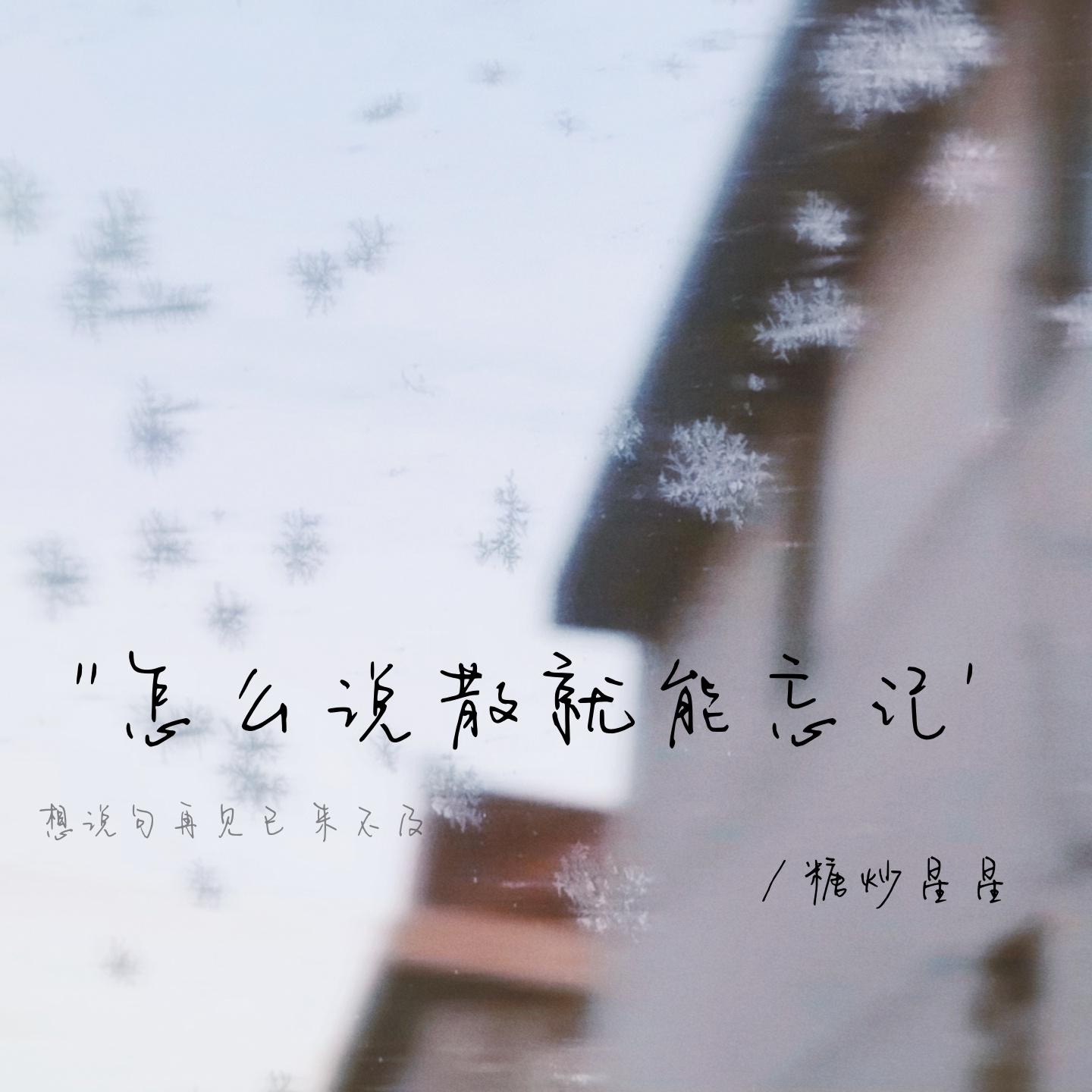 怎么说散就能忘记 (伴奏)封面