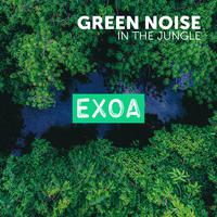 Green Noise - In the Jungle