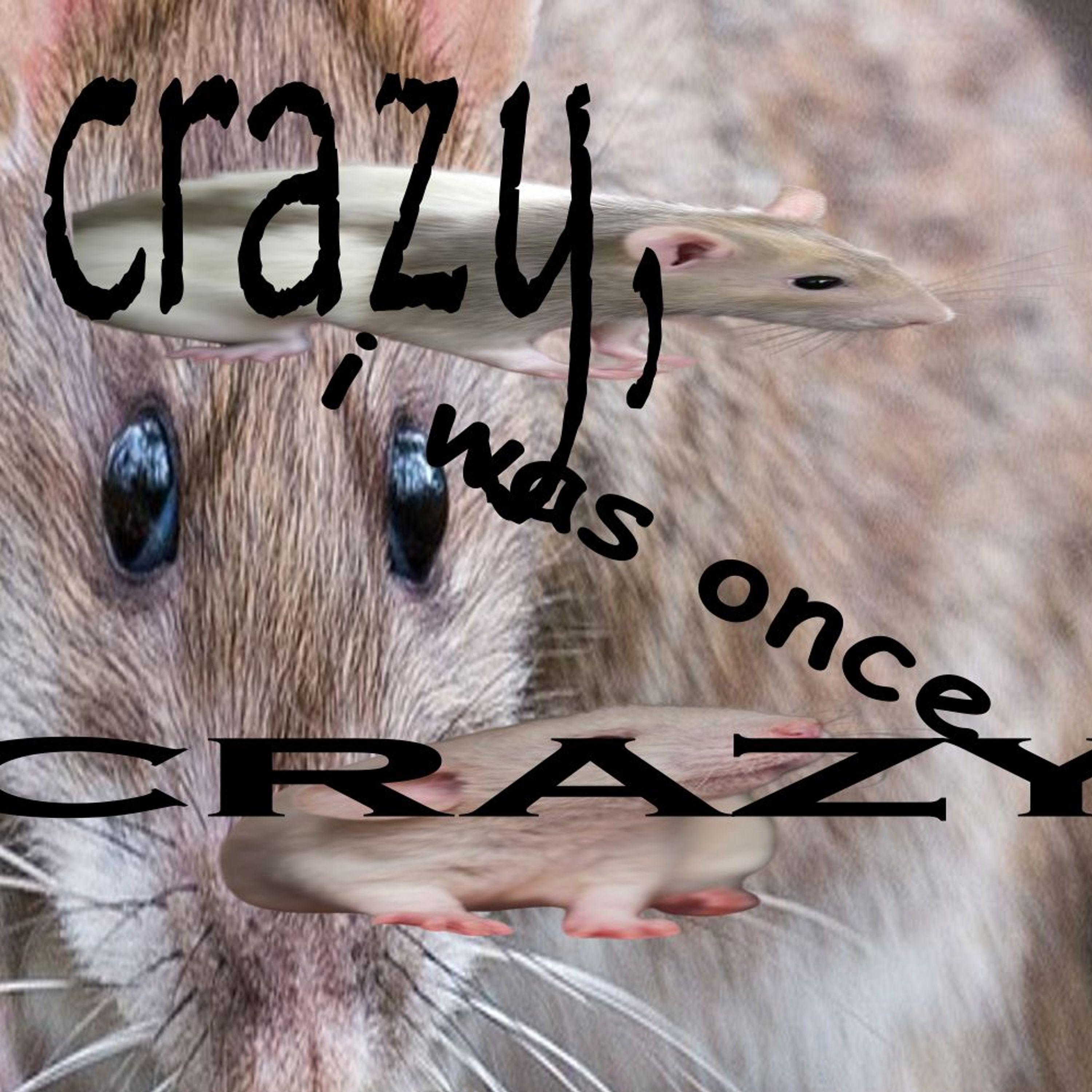 Crazy, I Was Once Crazy
