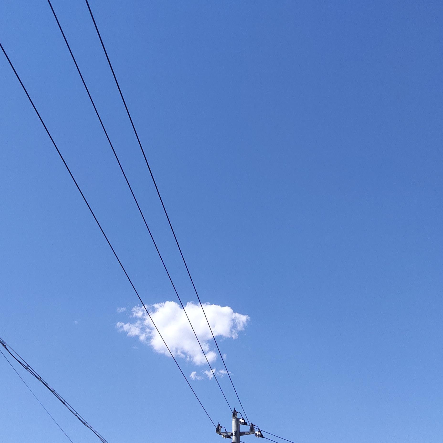 视线所及只剩生活封面