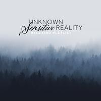 Unknown Sensitive Reality (Relaxing Playlist)