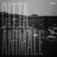 Città animale