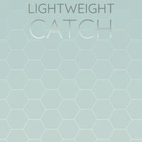 Lightweight Catch