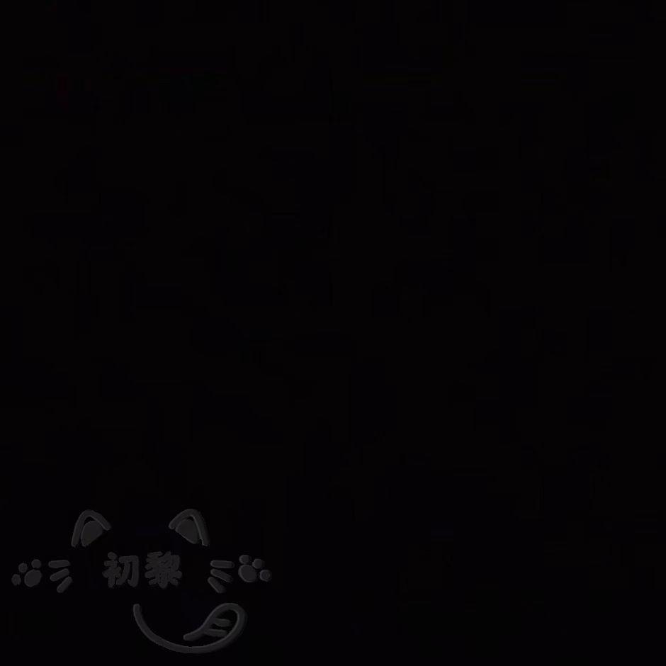 SHSK-骄傲的鸟儿飞走了混搭（心情hei remix）