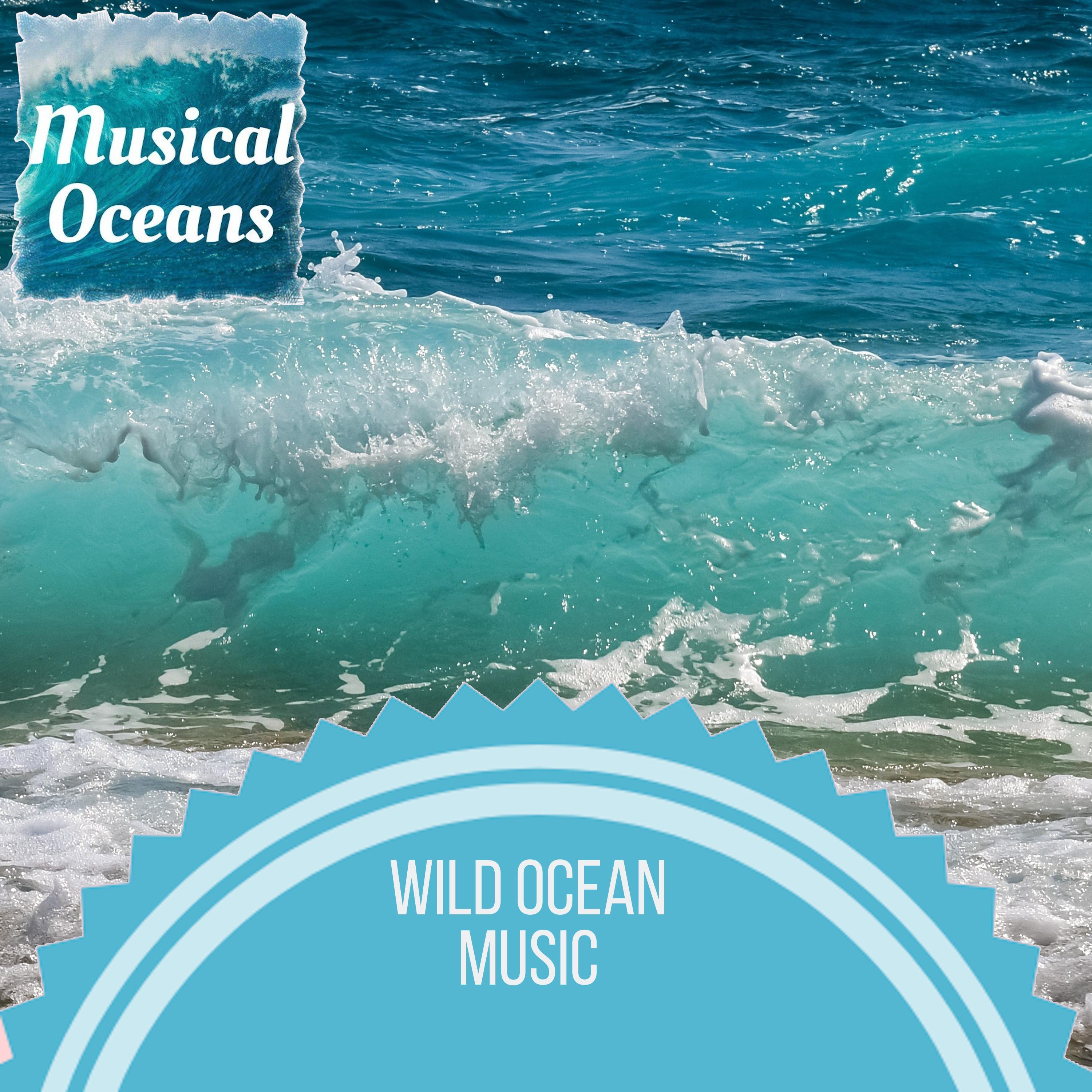 Soothing Ocean Rhythms - Blessed Waves Music Library - 单曲 - 网易云音乐