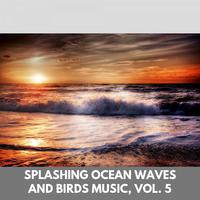 Splashing Ocean Waves and Birds Music, Vol. 5