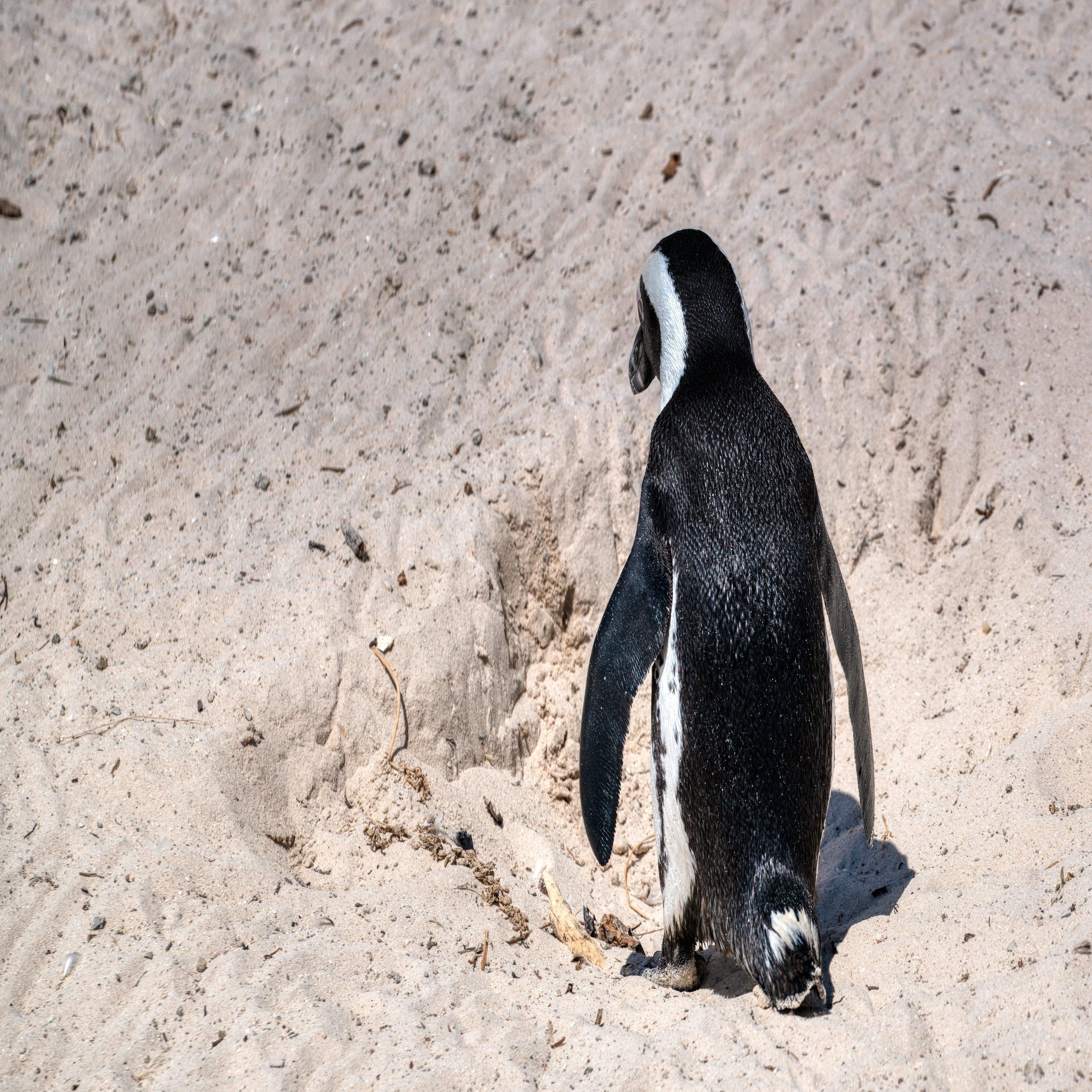 Shoes and Socks (Club Remix)