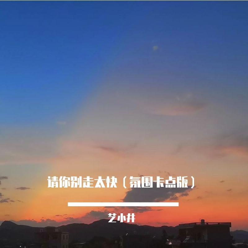别让爱凋落(请别走太快卡点节奏版)封面