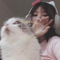 万宝鹿资料,万宝鹿最新歌曲,万宝鹿MV视频,万宝鹿音乐专辑,万宝鹿好听的歌